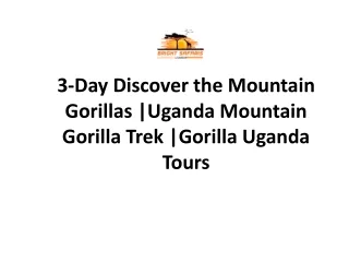 3-Day Discover the Mountain Gorillas
