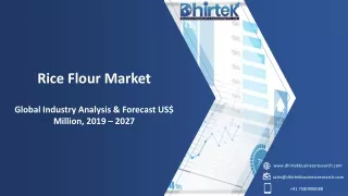 rice flour market global industry analysis