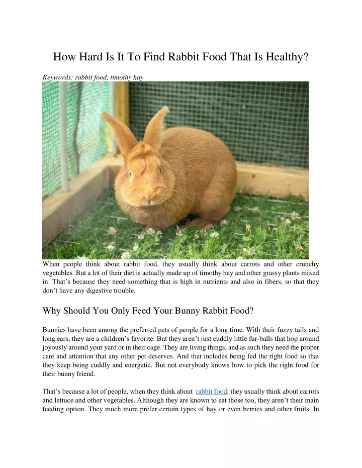 how hard is it to find rabbit food that is healthy