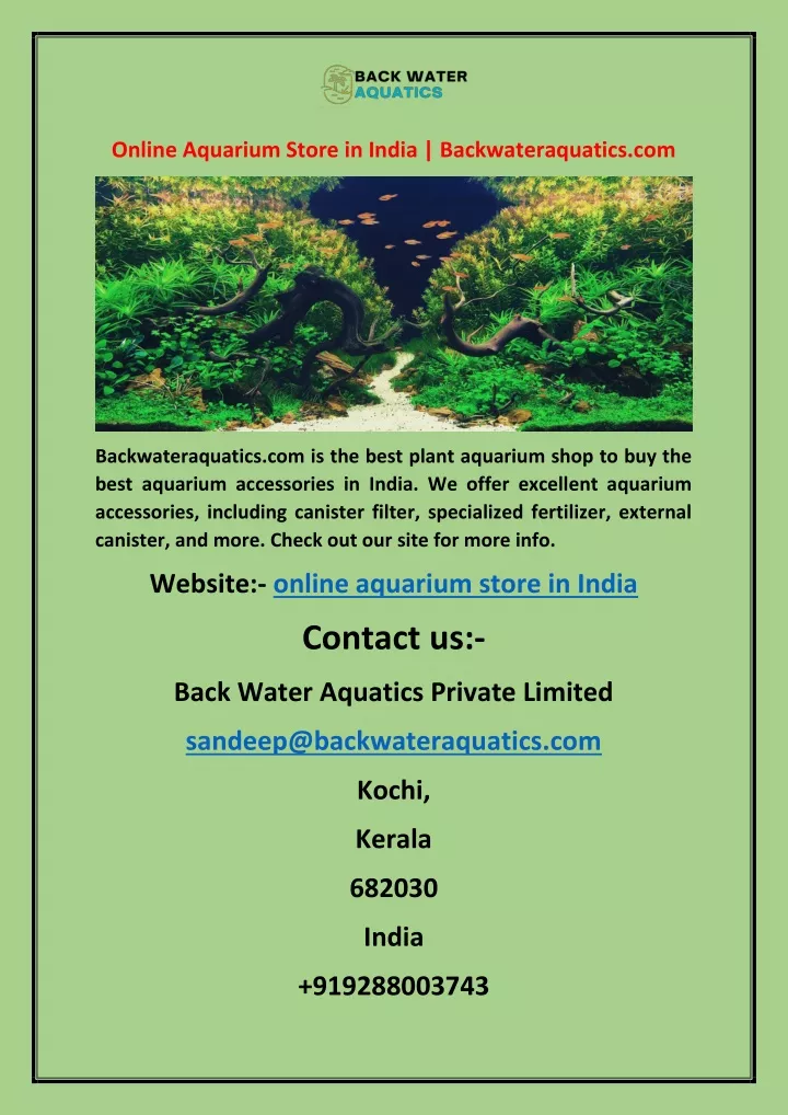 online aquarium store in india backwateraquatics