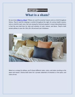 All Information About What is a Sham
