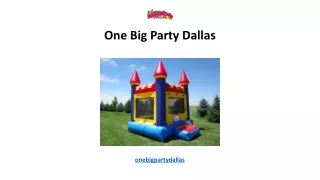 one big party dallas