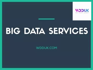big data services