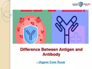 Difference Between Antigen and Antibody