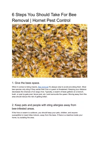 6 Steps You Should Take For Bee Removal | Hornet Pest Control
