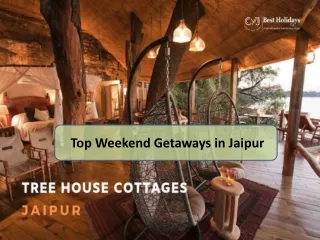 Tree House Jaipur - Top Weekend Getaways