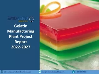 Gelatin Manufacturing Plant Cost and Project Report PDF 2022-2027 | Syndicated