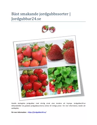 Bäst smakande jordgubbssorter | Jordgubbar24.se