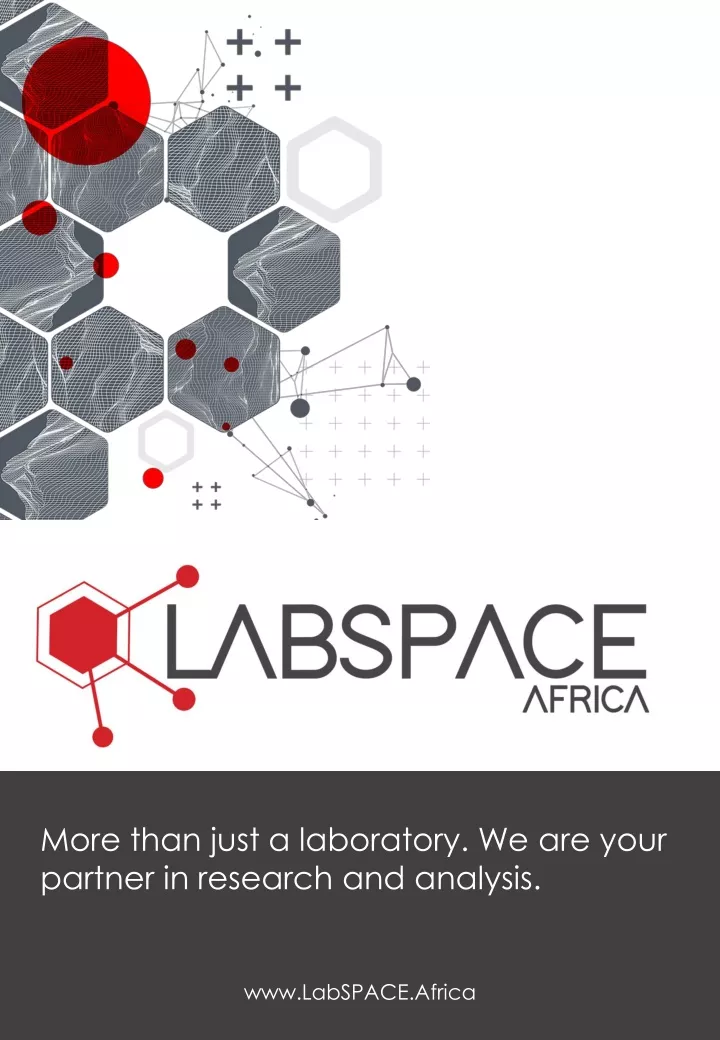 more than just a laboratory we are your partner
