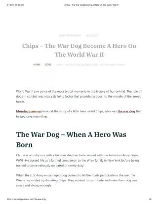 Chips - The War Dog Become A Hero On The World War II