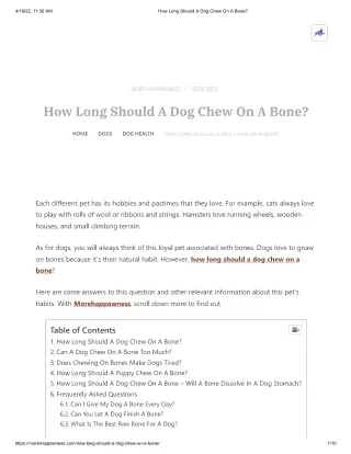 How Long Should A Dog Chew On A Bone_