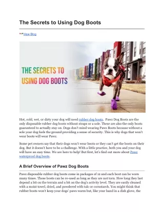 The Secrets to Using Dog Boots - Pawz Dog Boots