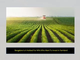 Bangalore Is A Hotbed For NRIs Who Want To Invest In Farmland