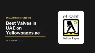 Best Valves in UAE on Yellowpages.ae