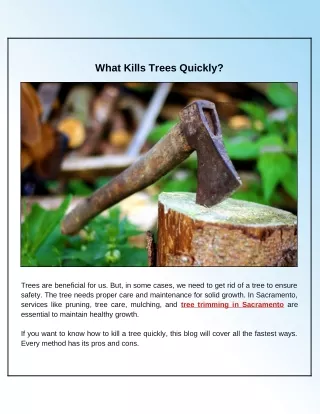 what kills trees quickly