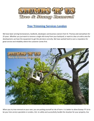 tree trimming services london
