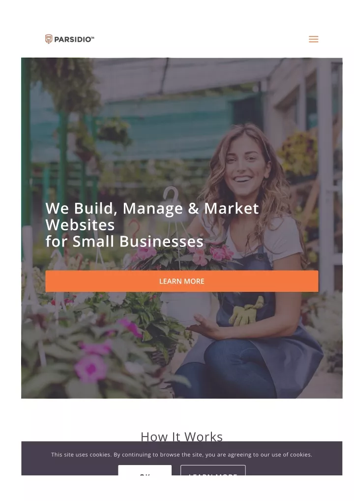 we build manage market websites for small