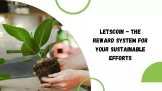 Letscoin - The reward system for your sustainable Efforts