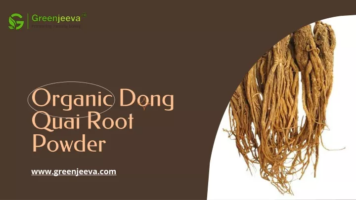 organic dong quai root powder