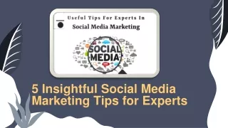 Social Media Marketing Tips for Experts.