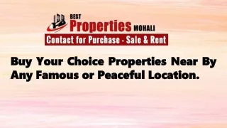 buy buy your your choice any any famous famous or
