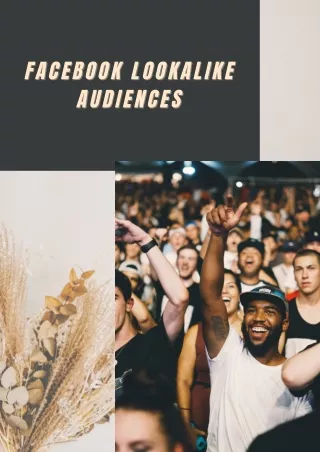 Facebook lookalike audiences