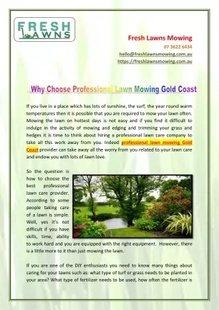 Why Choose Professional Lawn Mowing Gold Coast
