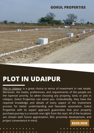 Plot in Udaipur