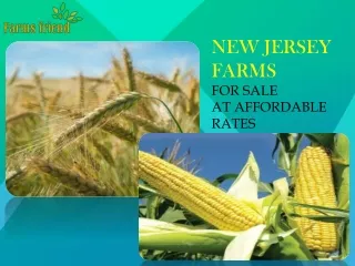 New Jersey Farms For Sale At Affordable Rates