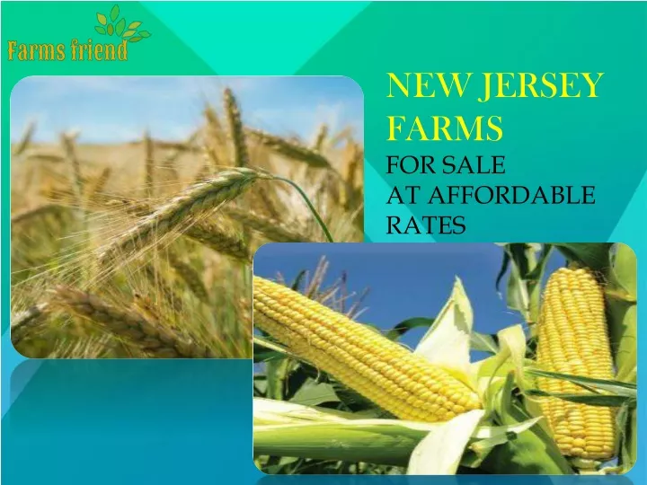 new jersey farms for sale at affordable rates