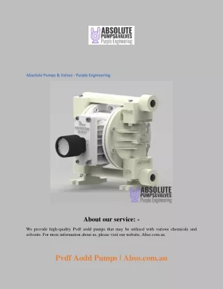 Pvdf Aodd Pumps  Abso.com