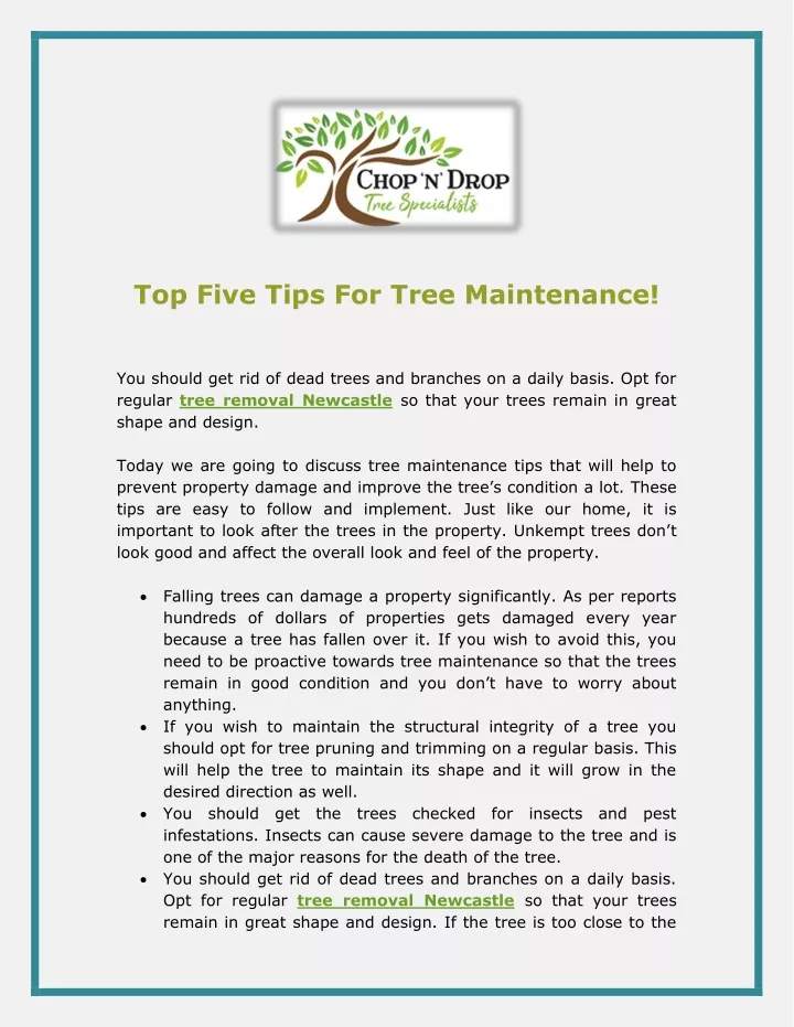 top five tips for tree maintenance