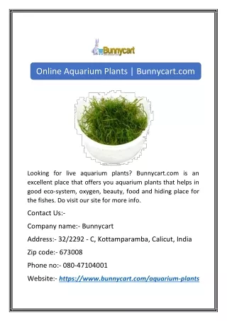 Online Aquarium Plants | Bunnycart.com