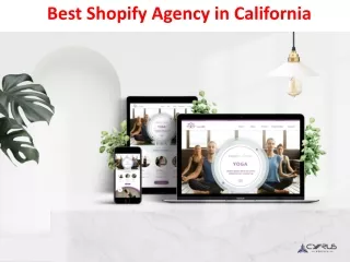 best shopify agency in california