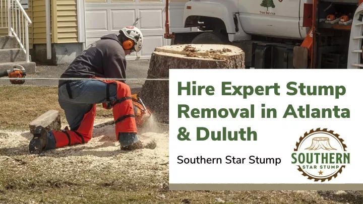 hire expert stump removal in atlanta duluth