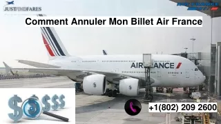 Comment Annuler Mon Billet Air France