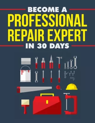 Professional Repair Expert