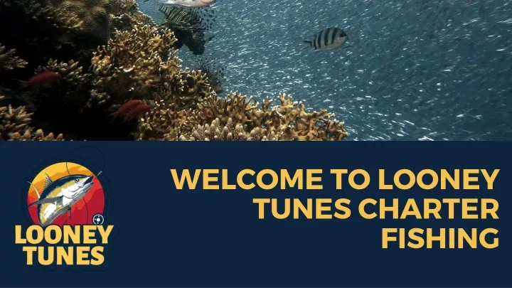 welcome to looney tunes charter fishing