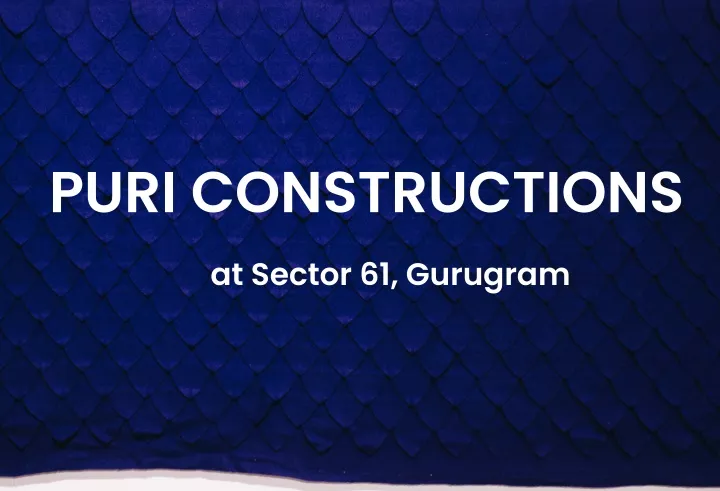 puri constructions