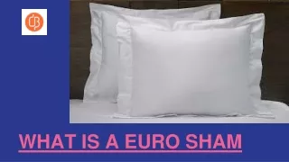 WHAT IS A EURO SHAM