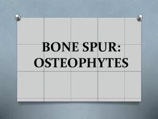 Bone Spurs