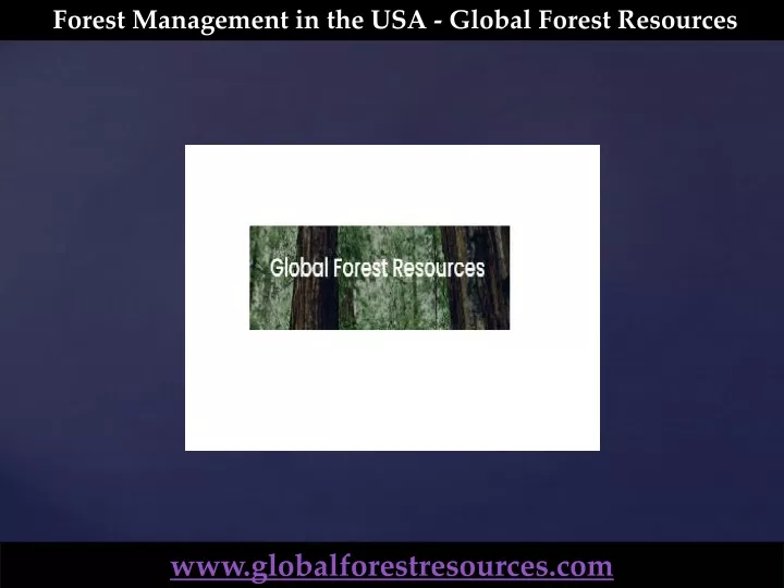 forest management in the usa global forest