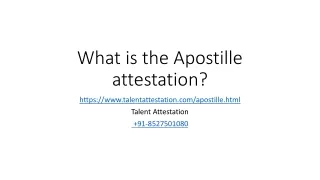 What is the Apostille Attestation