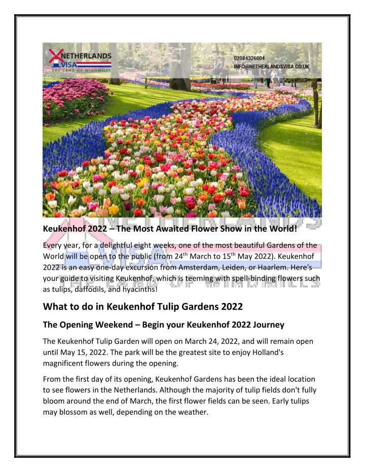 keukenhof 2022 the most awaited flower show