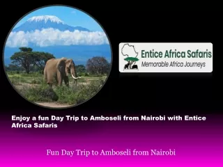 Fun Day Trip to Amboseli from Nairobi