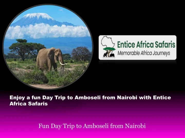 enjoy a fun day trip to amboseli from nairobi