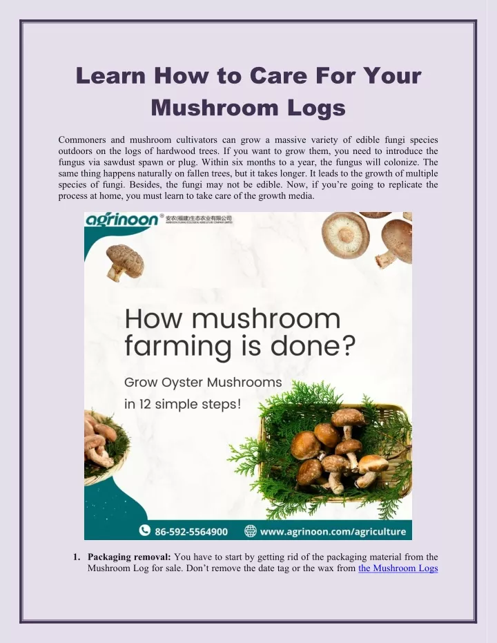 learn how to care for your mushroom logs