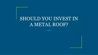 SHOULD YOU INVEST IN A METAL ROOF?