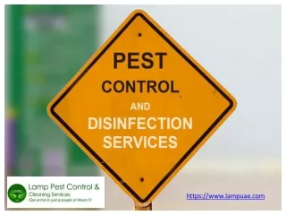 Pest Control Company Dubai - Lampuae