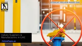 Valves Suppliers & Manufacturers in UAE